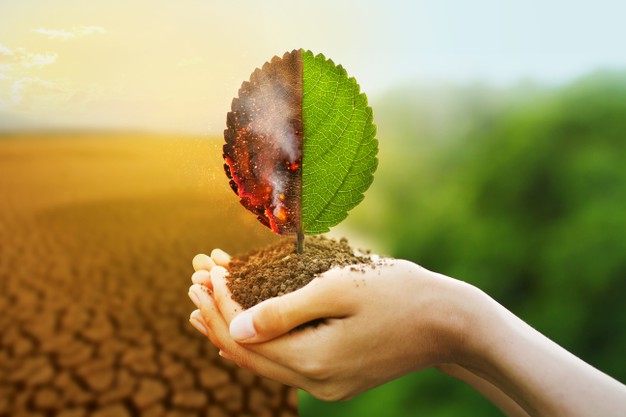 hand hold burning leaf